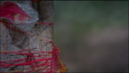 Durga Aur Charu - 24th Jan 2023